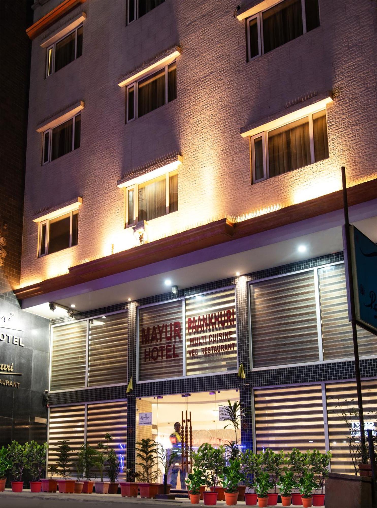 马尤尔酒店 新德里 外观 照片