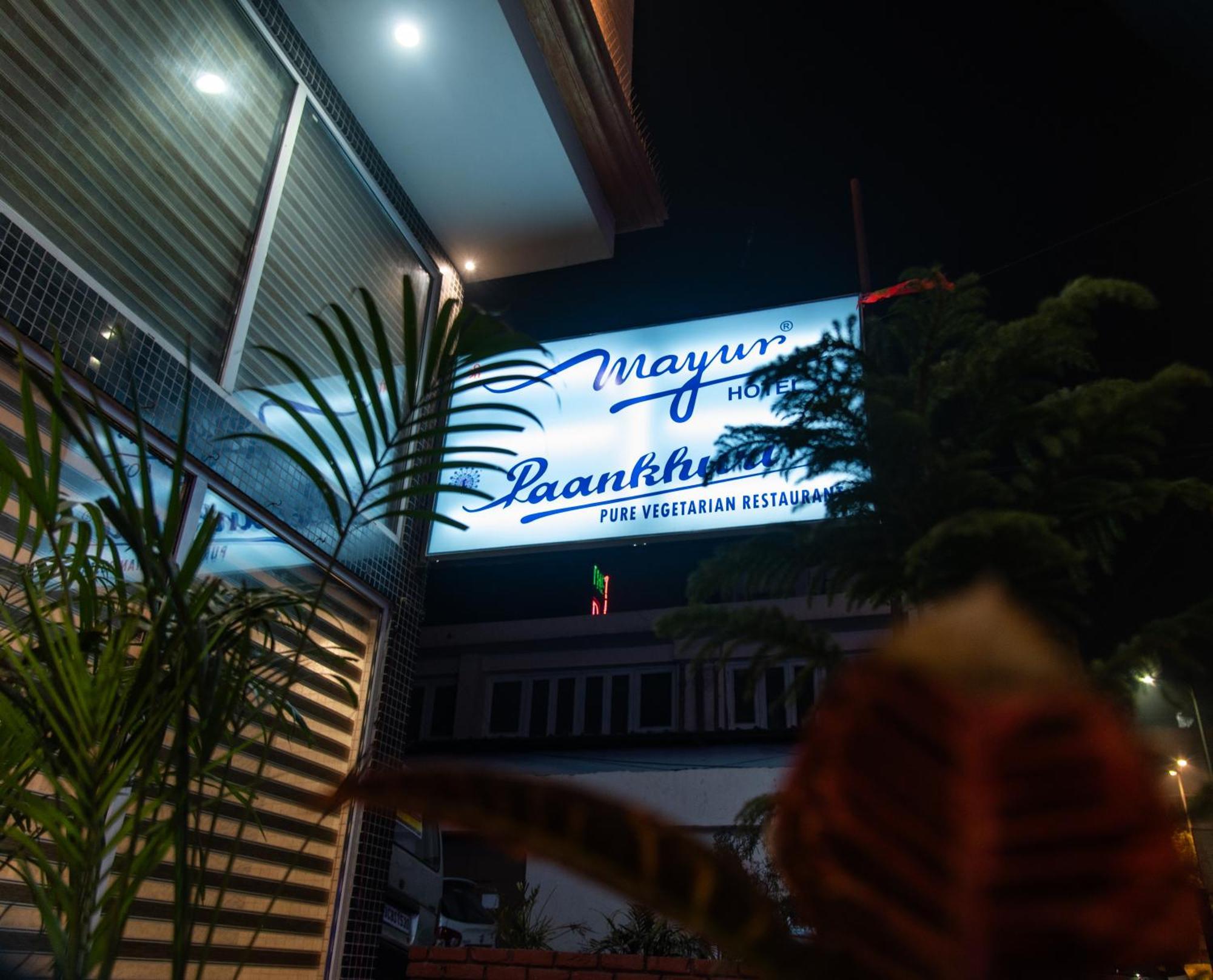 马尤尔酒店 新德里 外观 照片