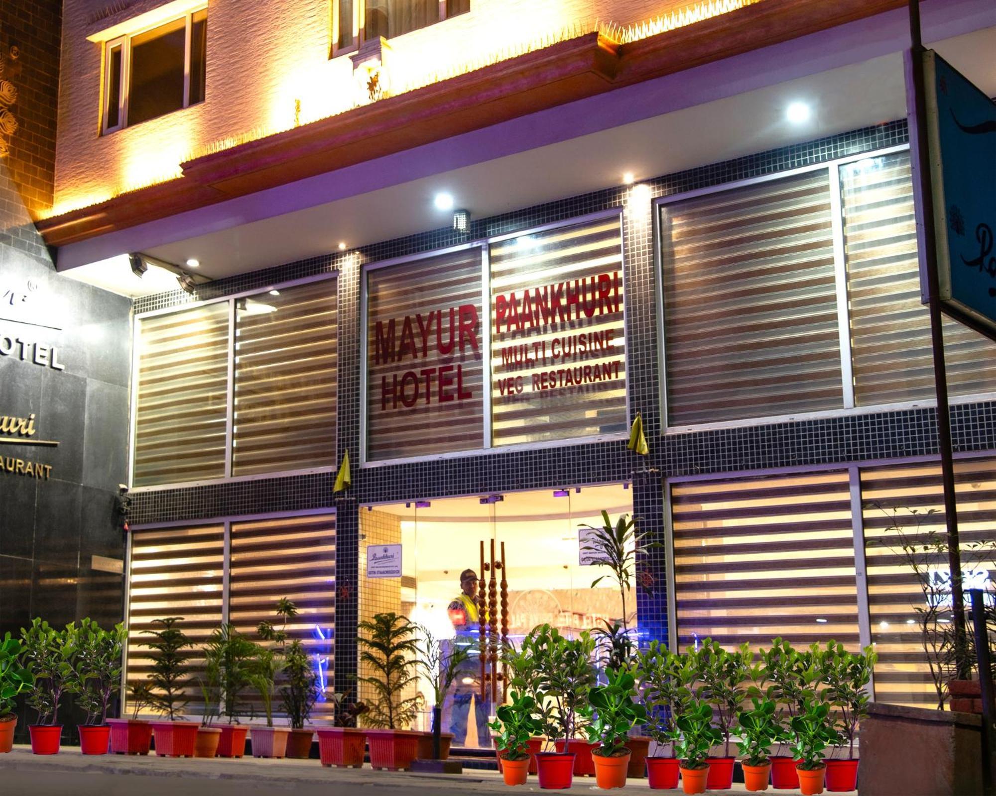 马尤尔酒店 新德里 外观 照片